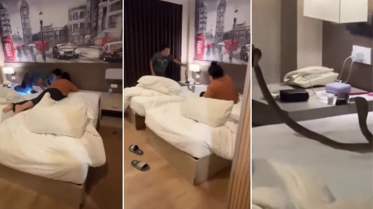 Viral Video: होटल के बिस्तर पर लेटे कपल की गर्दन पर रेंगने लगा कोबरा—आगे क्या हुआ, यहाँ देखें…