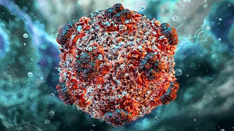 क्या Hantavirus फैलने का डर है;  इसके लक्षण क्या हैं? यह आम फ्लू से कितना ज़्यादा खतरनाक है?